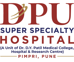 dpu-pimpri-pune-logo-2024